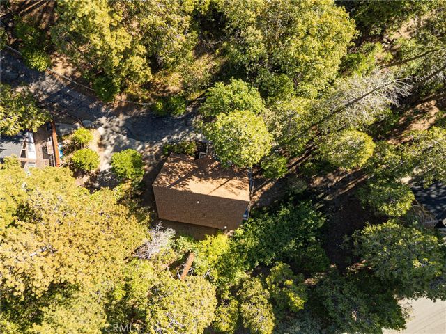 385 Birchwood Drive, Lake Arrowhead, CA 92352