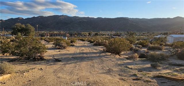 0 Nicolson, 29 Palms, CA 92277