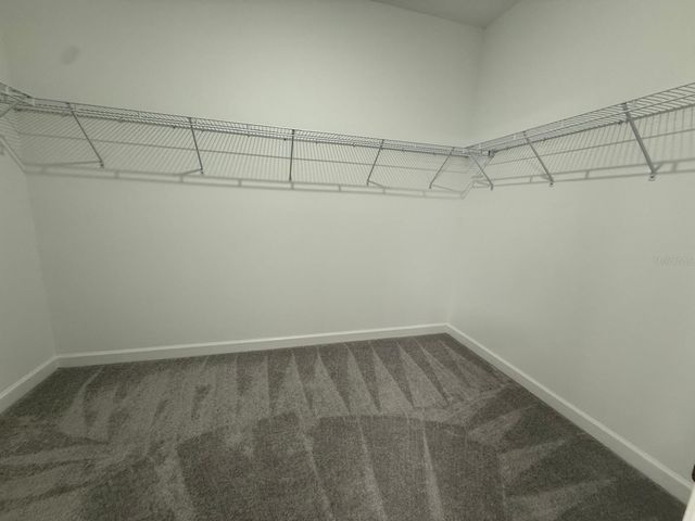 31740 GRIFFIN SANDS LANE, San Antonio, FL 33576