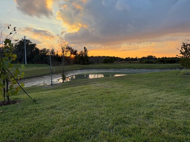 31740 GRIFFIN SANDS LANE, San Antonio, FL 33576