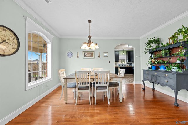 25850 Iron Gate Drive, Madison, AL 35756