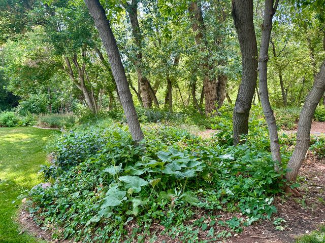 7737 W SAWTOOTH CV, Vernal, UT 84078