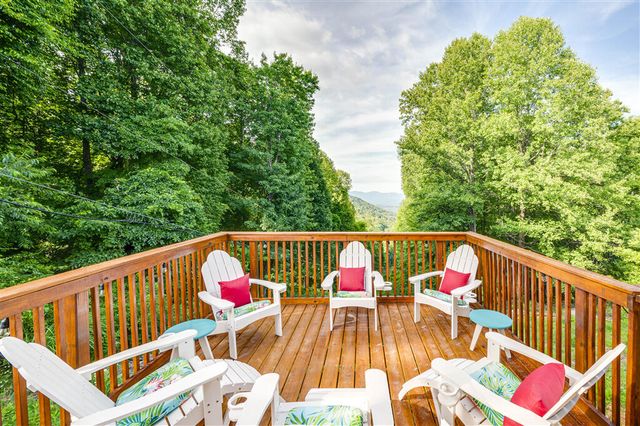 1039 Fosters Knob RD, Blue Ridge, VA 24064