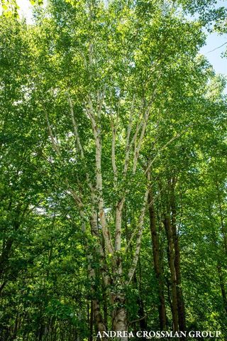 7032 Glenn Oaks Drive, South Haven, MI 49090