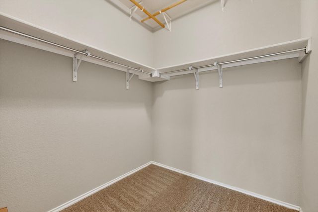 429 Sheepshank DR, Georgetown, TX 78633
