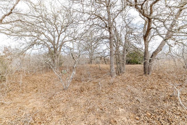 TBD County Road 424, Waelder, TX 78959