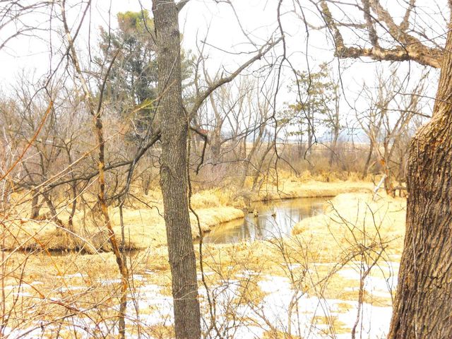 N6758 County Road H, Camp Douglas, WI 54618