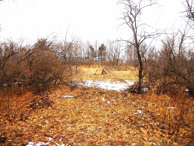 N6758 County Road H, Camp Douglas, WI 54618