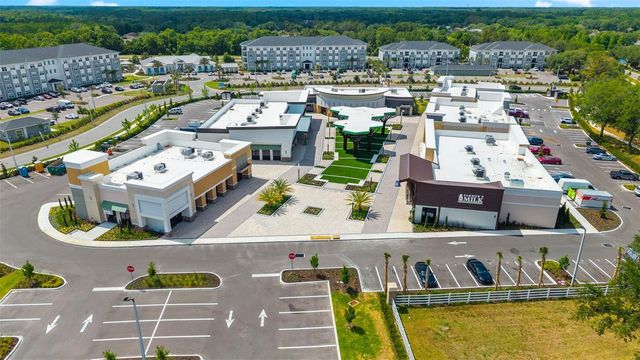 4928 STEEL DUST LANE, Lutz, FL 33559