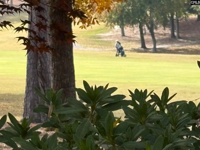 159 Greenside Drive, Lexington, SC 29072