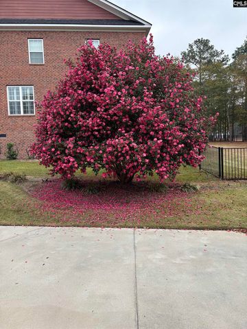 159 Greenside Drive, Lexington, SC 29072