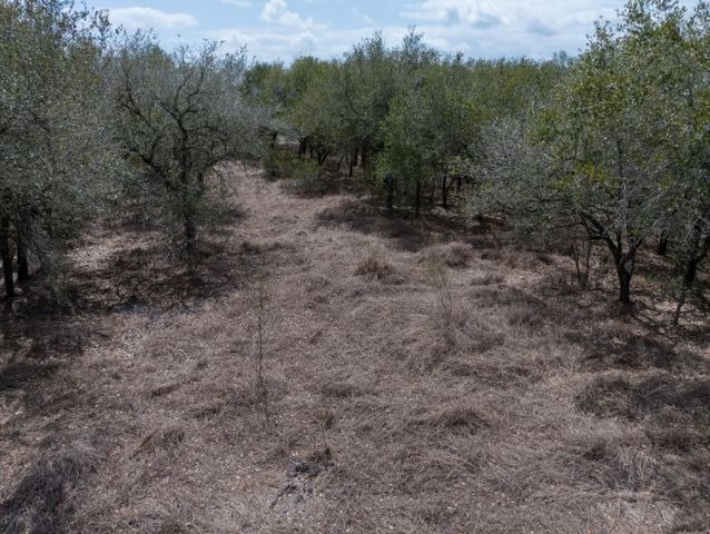15820 County Road 502, Sinton, TX 78387
