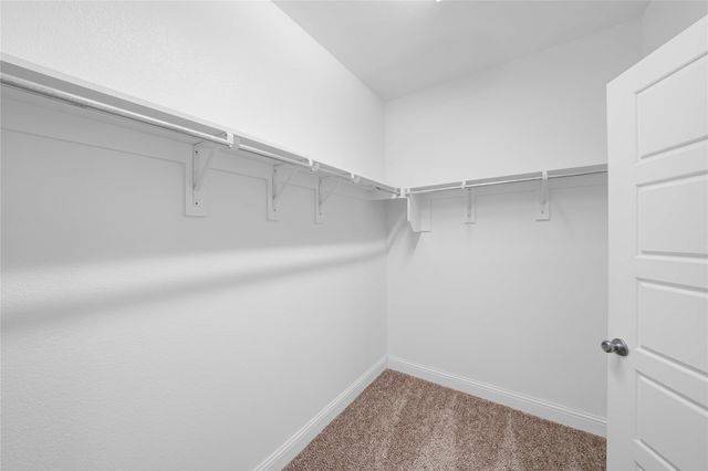 1216 White Dove Drive, Little Elm, TX 75068