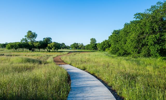 1216 White Dove Drive, Little Elm, TX 75068