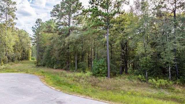 13-21-65 Bighorn Road, Huntsville, TX 77340