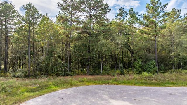 13-21-65 Bighorn Road, Huntsville, TX 77340