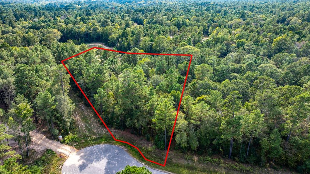 13-21-65 Bighorn Road, Huntsville, TX 77340