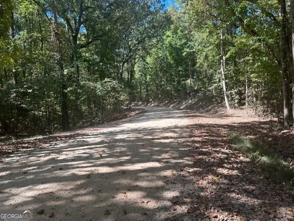 LOT Lake View Drive, Lavonia, GA 30553 — exterior