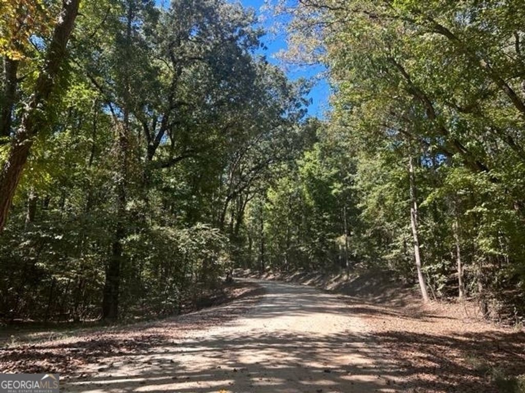 LOT Lake View Drive, Lavonia, GA 30553 — photo 2
