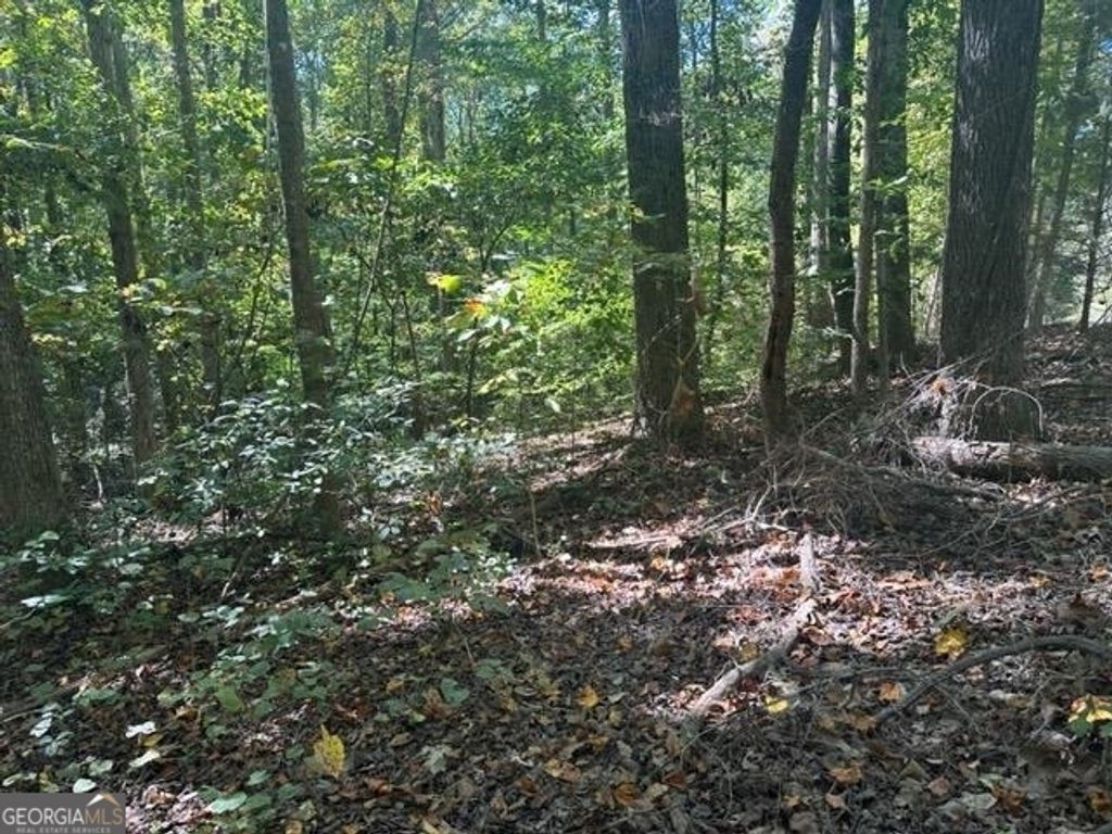 LOT Lake View Drive, Lavonia, GA 30553 — photo 4
