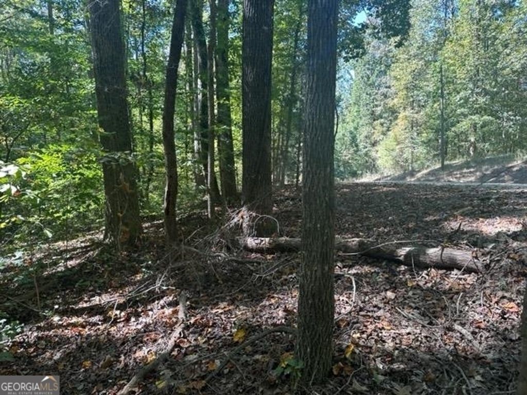 LOT Lake View Drive, Lavonia, GA 30553 — photo 5