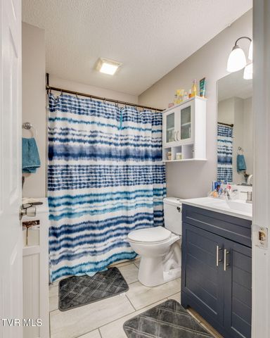 132 Bobwhite Court, Telford, TN 37690