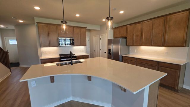 19206 Goldenrod Trail, Corcoran, MN 55374