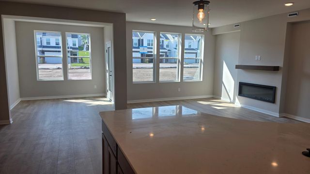19206 Goldenrod Trail, Corcoran, MN 55374