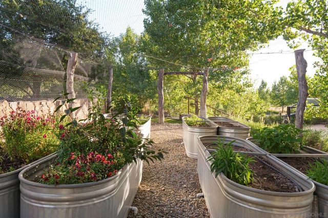 26904 Mesa Grande, Santa Ysabel, CA 92070