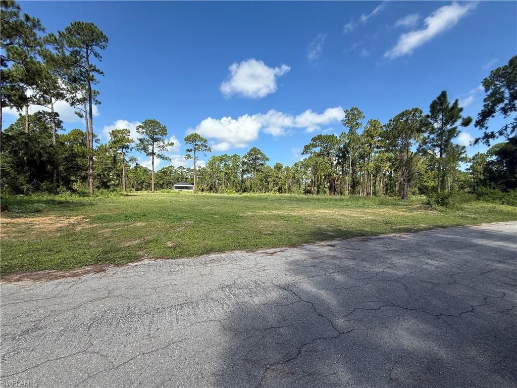 9 Hines AVE, LEHIGH ACRES, FL 33936 — photo 3