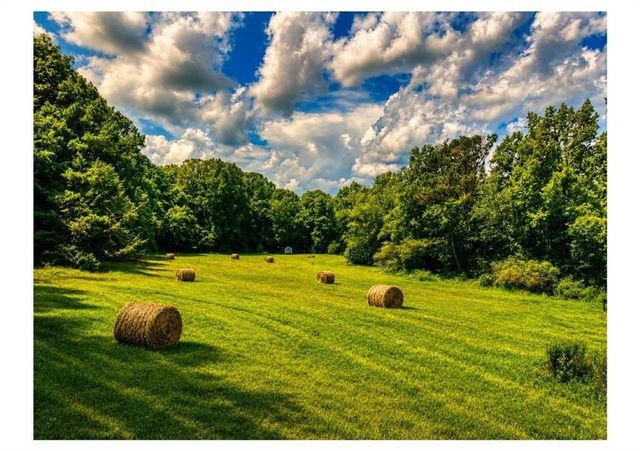 2086 Burnt Mountain Road, Ellijay, GA 30536