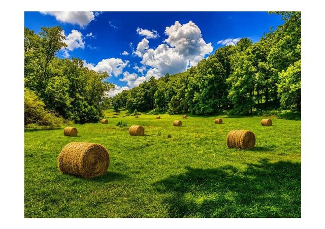 2086 Burnt Mountain Road, Ellijay, GA 30536