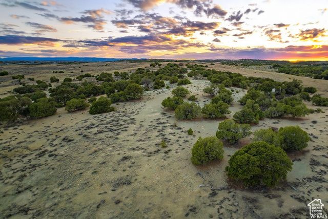 17491 W RED TAIL RIDGE RD, Duchesne, UT 84021