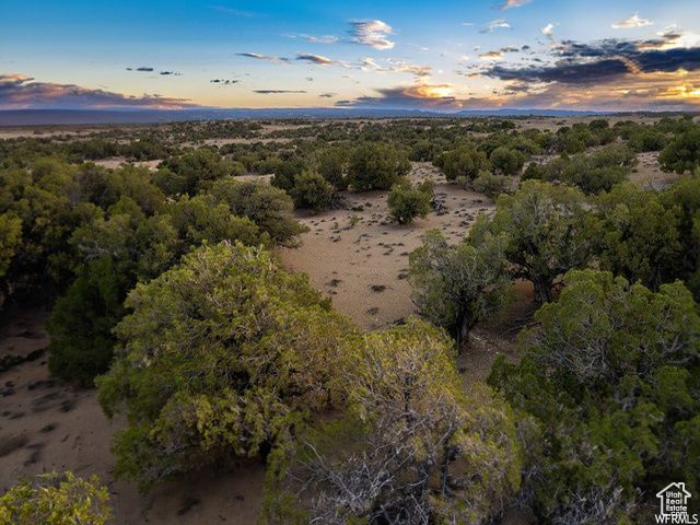 17491 W RED TAIL RIDGE RD, Duchesne, UT 84021