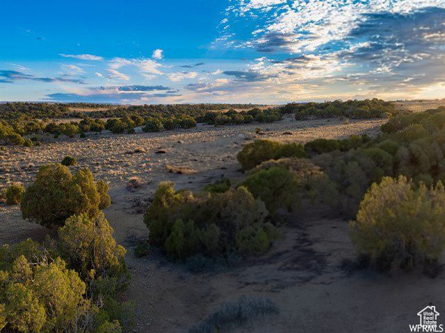 17491 W RED TAIL RIDGE RD, Duchesne, UT 84021