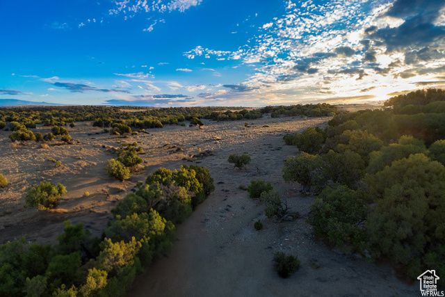 17491 W RED TAIL RIDGE RD, Duchesne, UT 84021