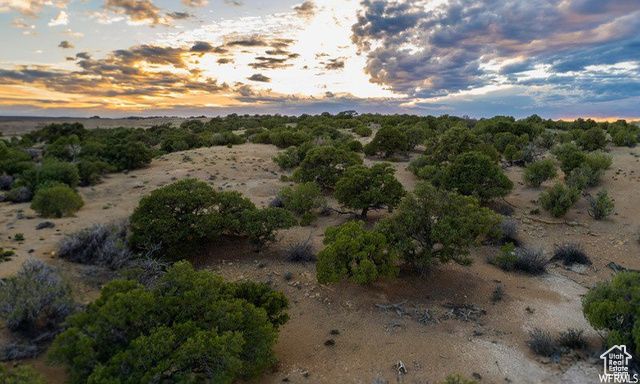 17491 W RED TAIL RIDGE RD, Duchesne, UT 84021