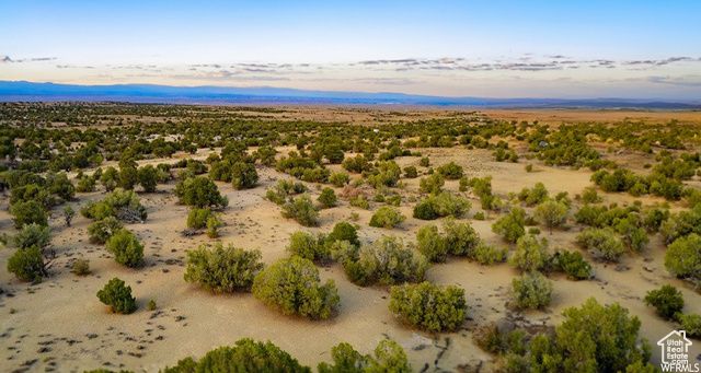 17491 W RED TAIL RIDGE RD, Duchesne, UT 84021