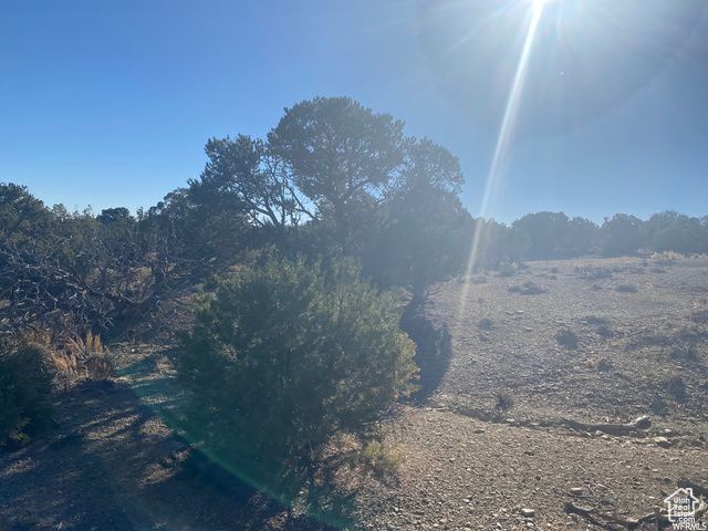 17491 W RED TAIL RIDGE RD, Duchesne, UT 84021