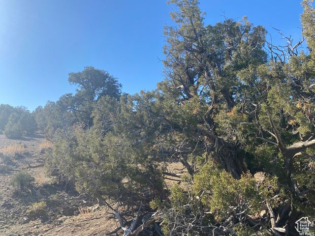 17491 W RED TAIL RIDGE RD, Duchesne, UT 84021