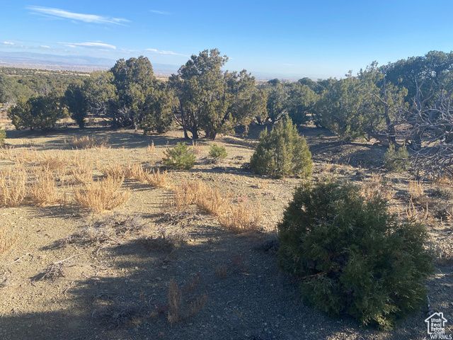 17491 W RED TAIL RIDGE RD, Duchesne, UT 84021