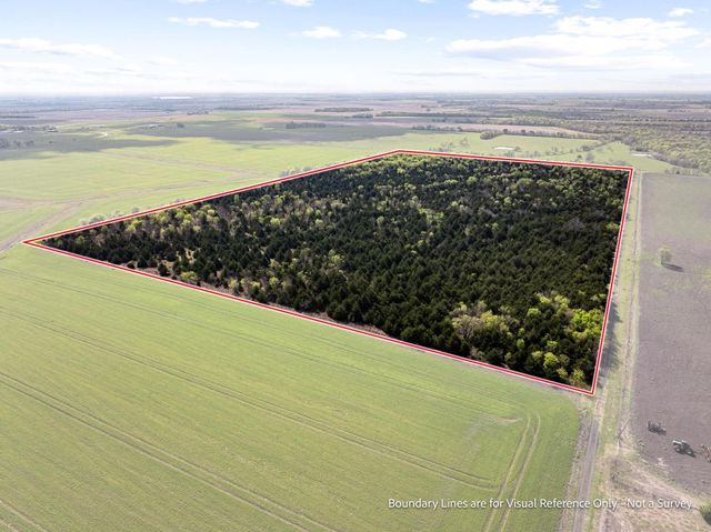 TBD County Road 3230, Ben Franklin, TX 75415