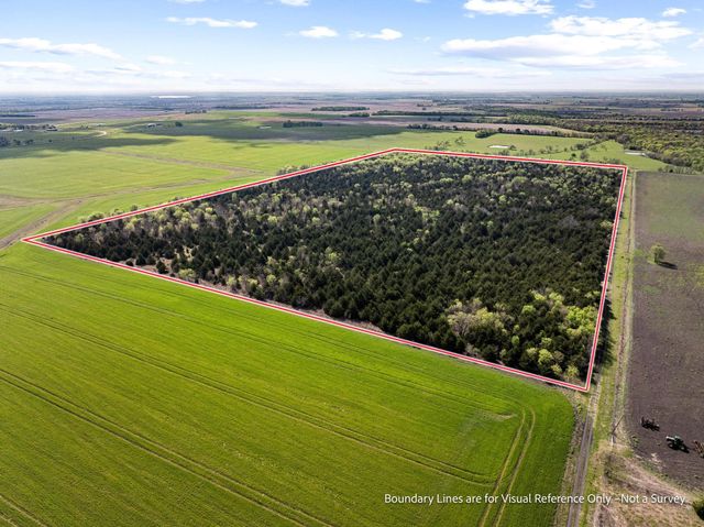 TBD County Road 3230, Ben Franklin, TX 75415