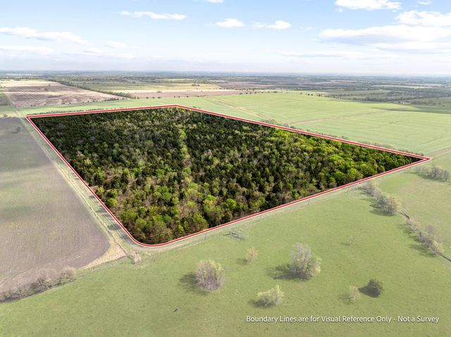 TBD County Road 3230, Ben Franklin, TX 75415