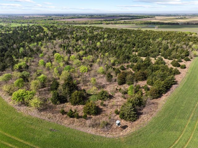 TBD County Road 3230, Ben Franklin, TX 75415