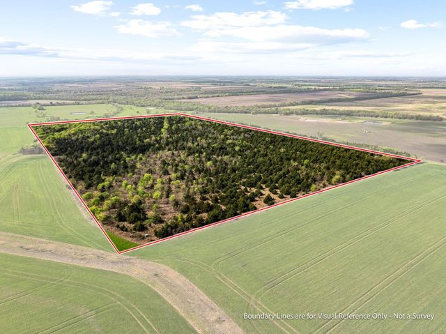TBD County Road 3230, Ben Franklin, TX 75415