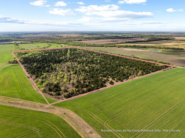 TBD County Road 3230, Ben Franklin, TX 75415