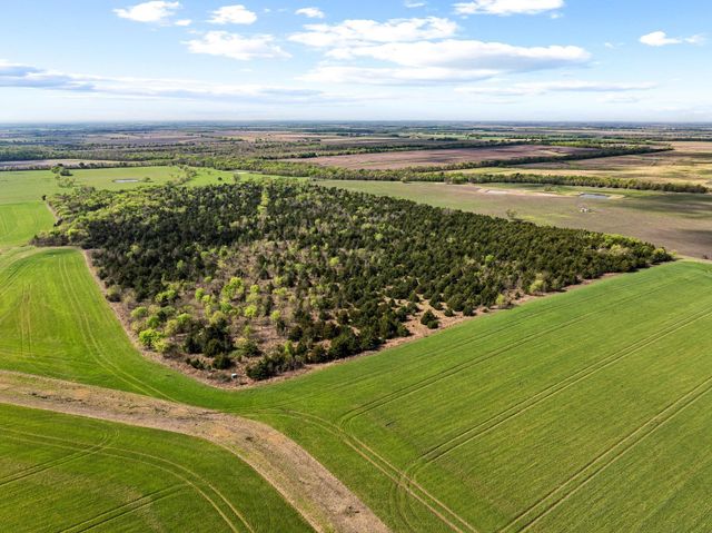 TBD County Road 3230, Ben Franklin, TX 75415