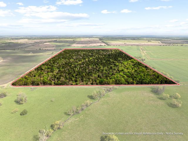 TBD County Road 3230, Ben Franklin, TX 75415