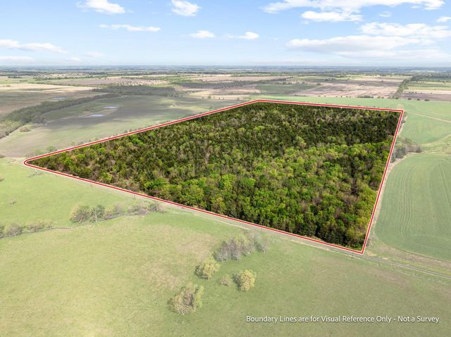 TBD County Road 3230, Ben Franklin, TX 75415